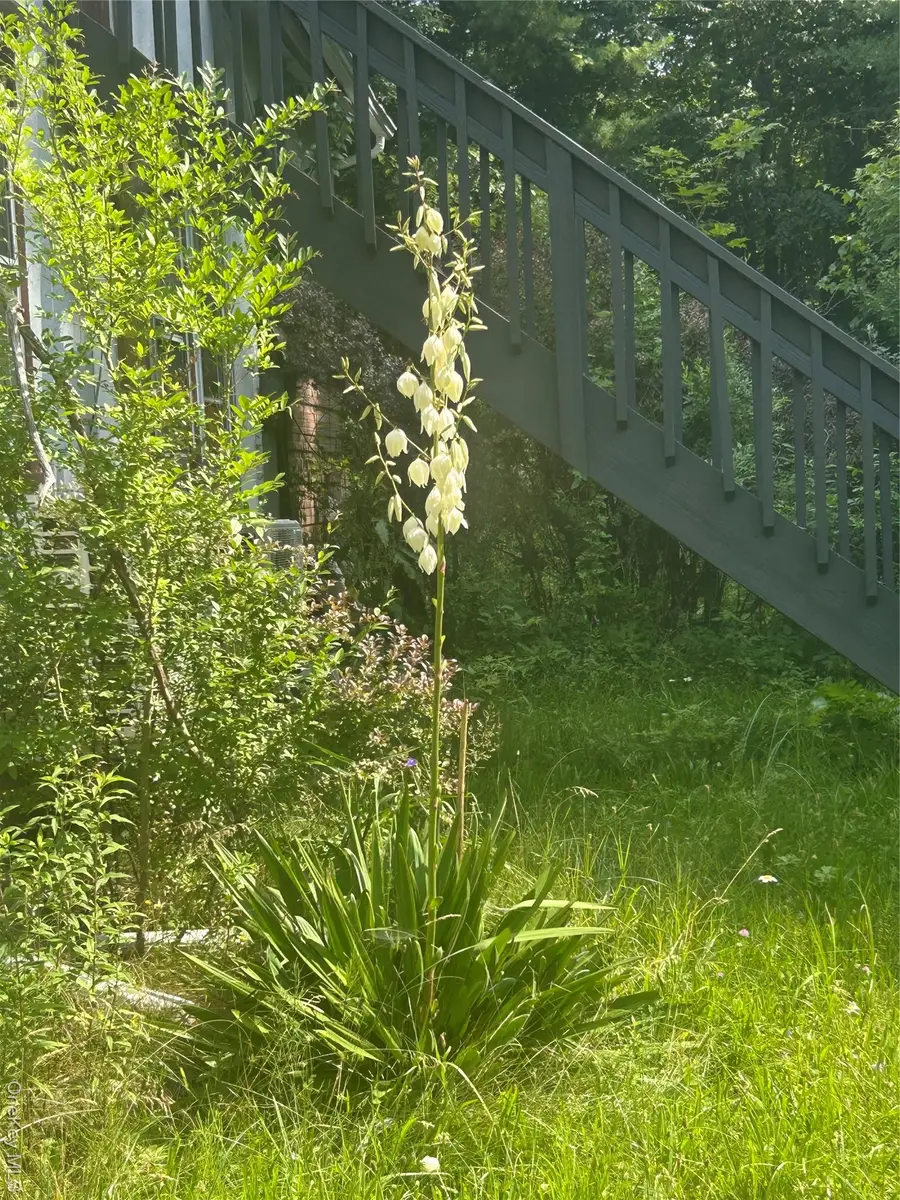 792 Briggs Highway, Ellenville, NY 12428 - Image #3