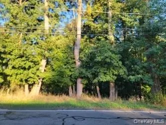 142 Old Haverstraw Road, Congers, NY 10920 - Image #2