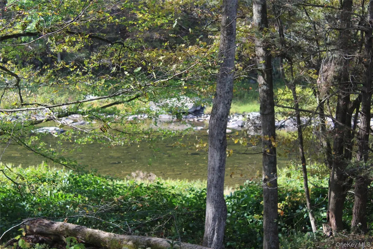 Peakville Road, East Branch, NY 13783 - Image #1