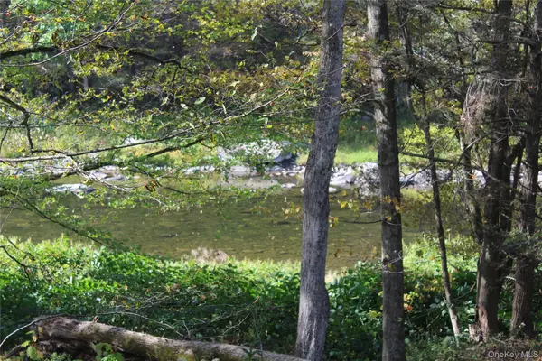 Peakville Road, Roscoe, NY 13783