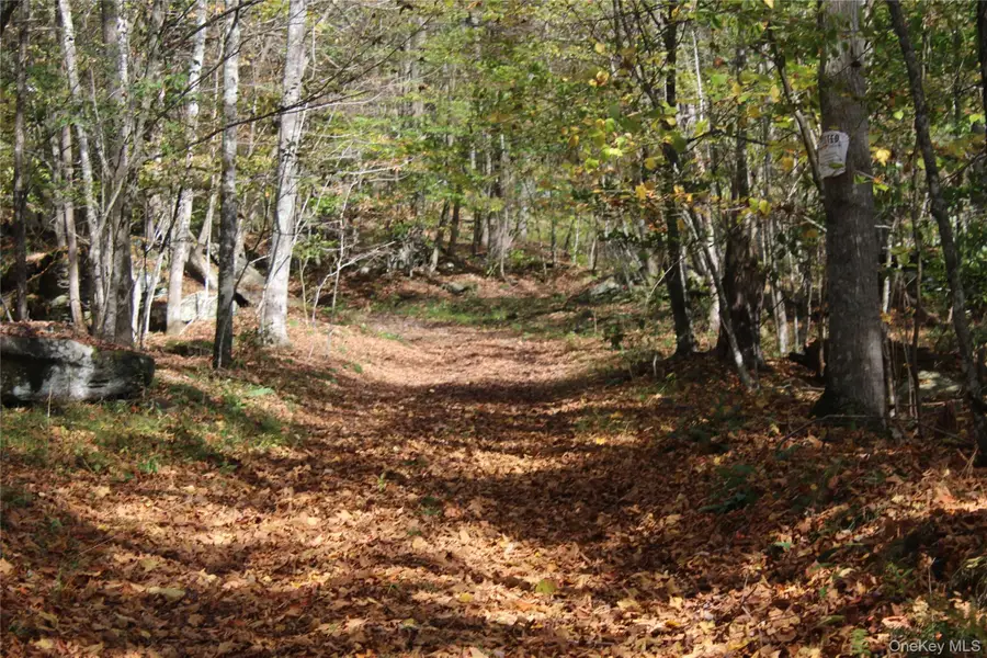 Peakville Road, East Branch, NY 13783 - Image #2