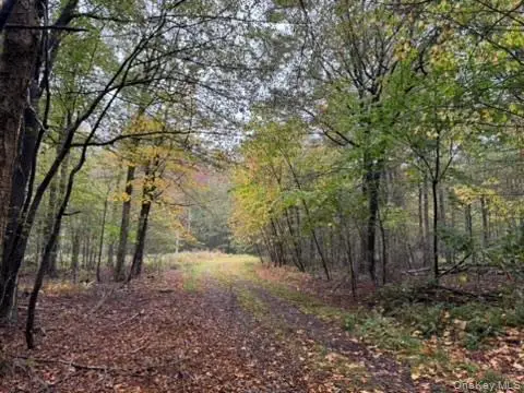 Little Ireland Road, Livingston Manor, NY 12758 - Image #3