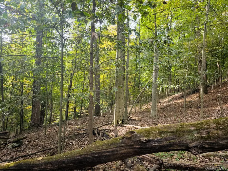 White Street, Highland, NY 12528 - Image #2