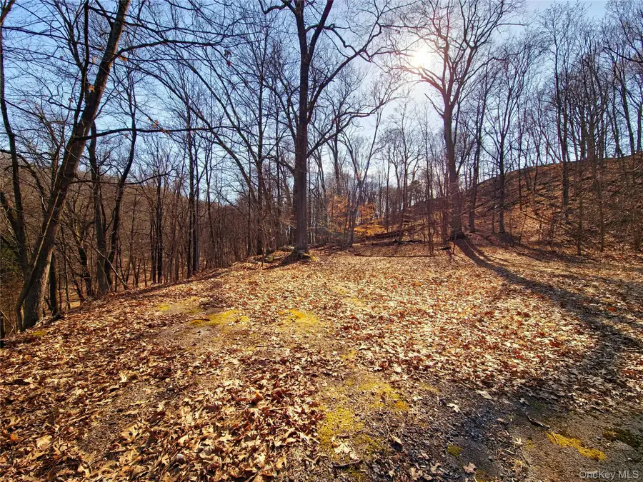 White Street, Highland, NY 12528 - Image #3