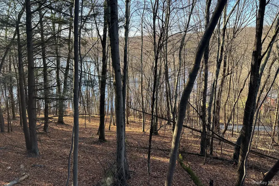 65 Patricia Lane, Clinton Corners, NY 12514 - Image #2