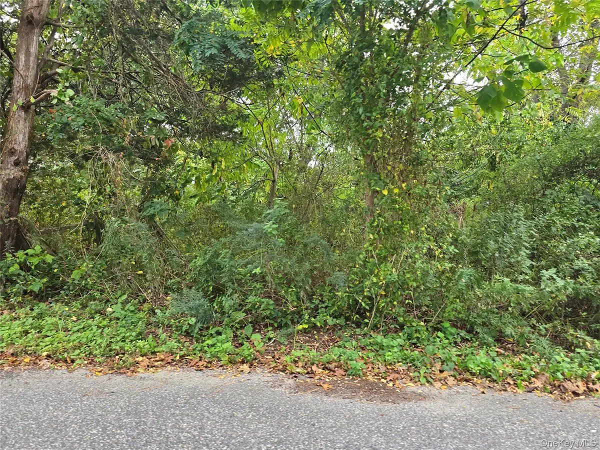 78 Lakeview Drive, Mastic Beach, NY 11951 - Image #1