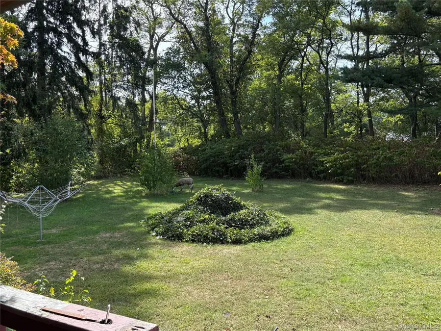 2408 Pine Avenue, Ronkonkoma, NY 11779 - #3