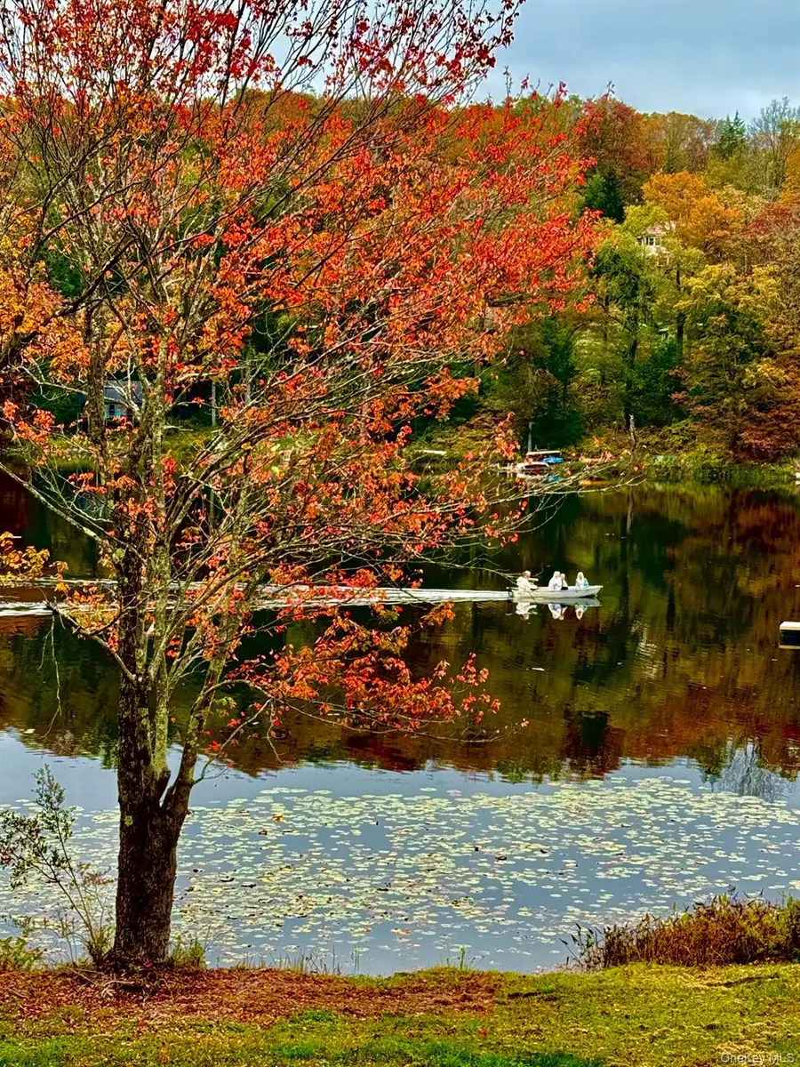 286 Trout Brook Road, Fremont, NY 12736 - Image #3