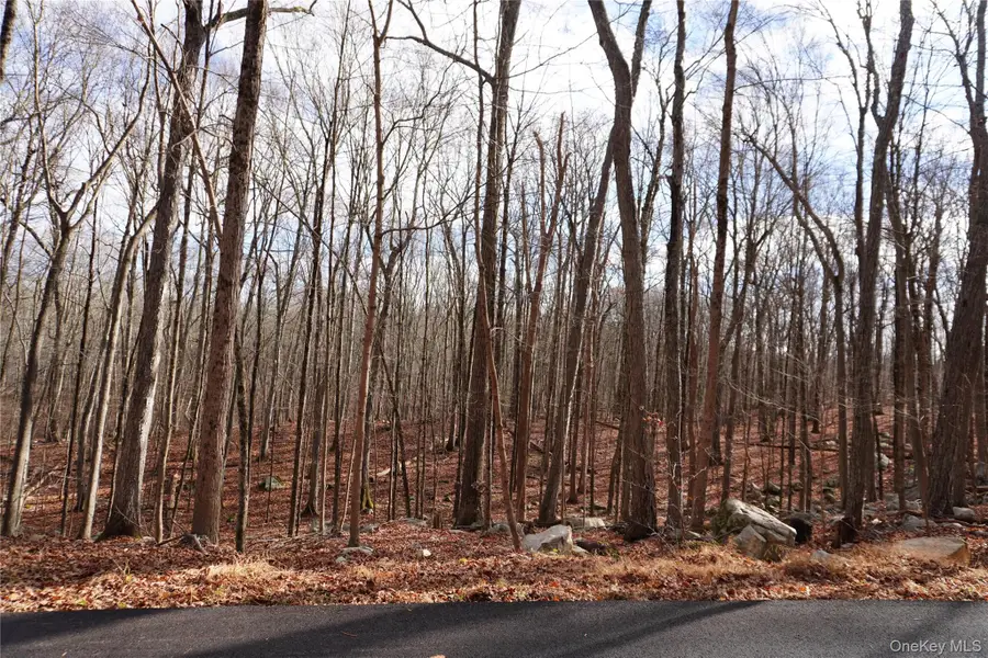 Route 301 Rt-301, Carmel, NY 10512 - Image #2