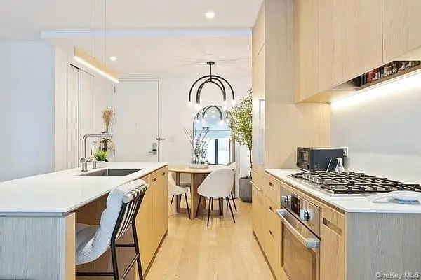 98 Front Street #9J, Brooklyn, NY 11201 - Image #2