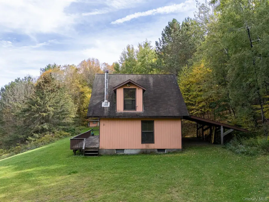 515 Magic Mountain Road, Bloomville, NY 13739 - Image #3