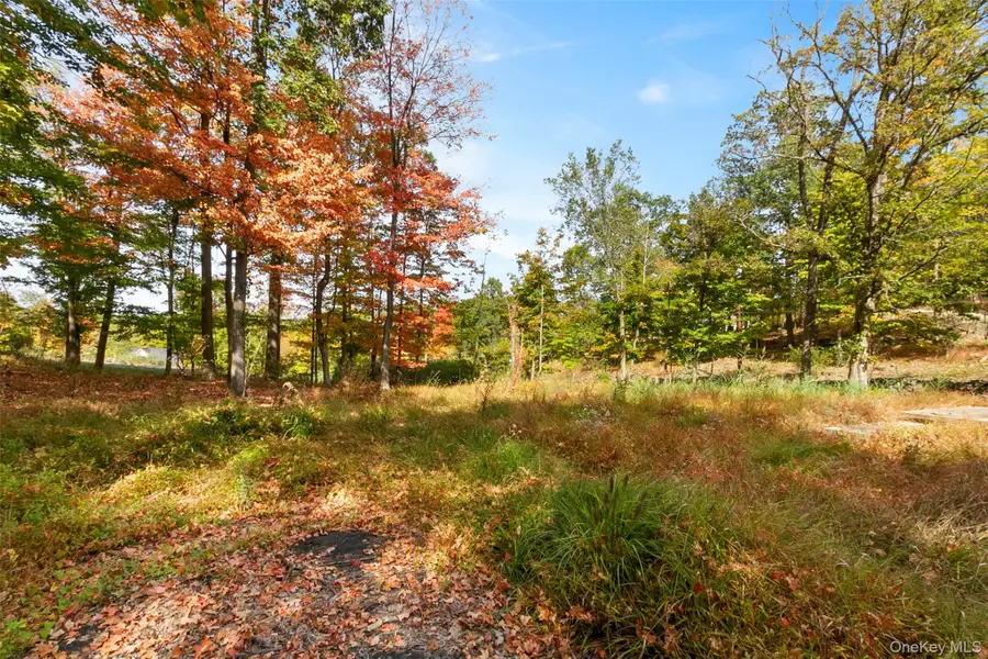 41 Schuyler Road, Blauvelt, NY 10960 - Image #2