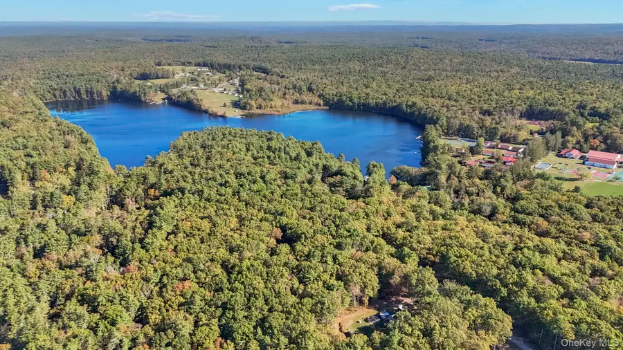 55 Ozeriany Road, Barryville, NY 12719 - Image #3