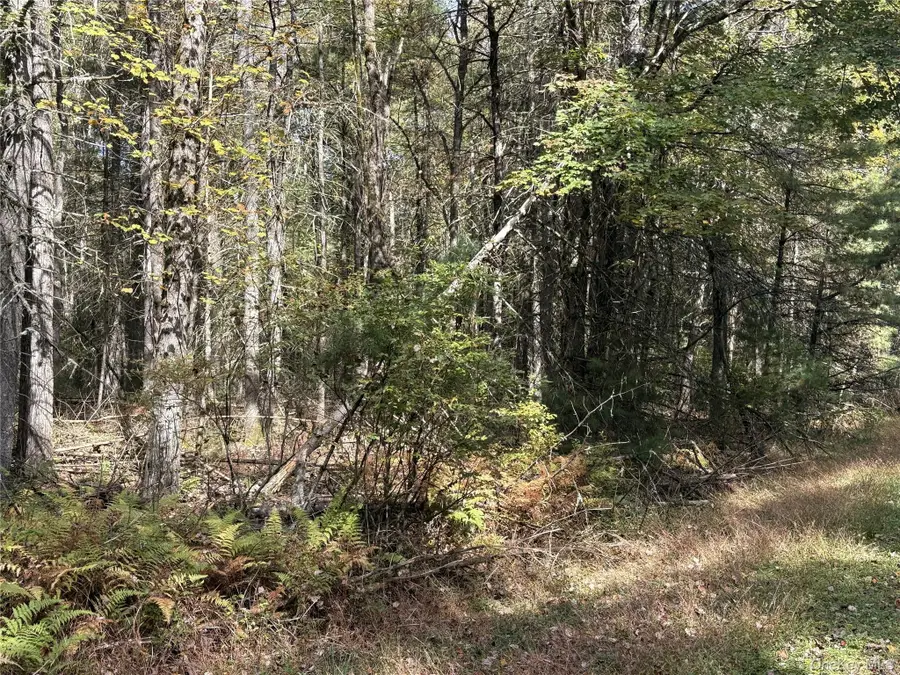 17 Lot 17 Desmond Crossing, Bethel, NY 12720 - Image #2