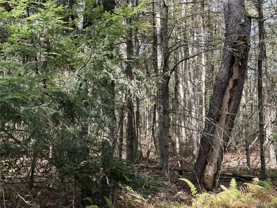 17 Lot 17 Desmond Crossing, Bethel, NY 12720 - Image #3