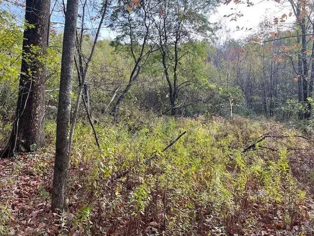 Ferndale Loomis Road Ne, Liberty, NY 12754 - Image #3