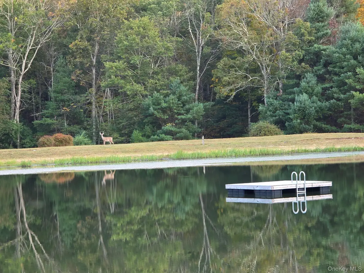 Split Rock Drive, Barryville, NY 12719 - #1