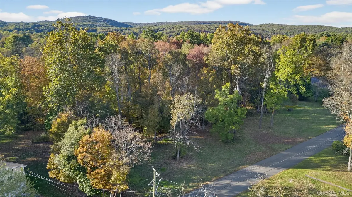 TBD Henry Street, Wurtsboro, NY 12790 - Image #1