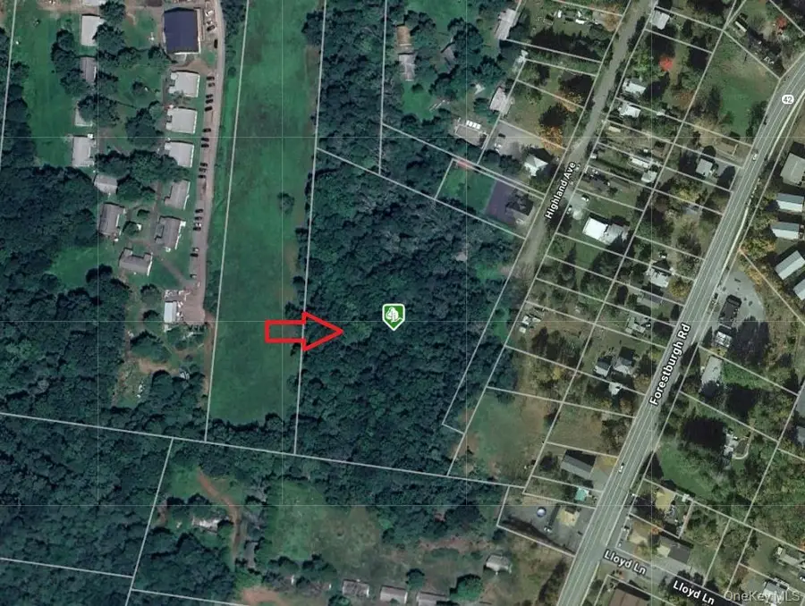 Highland Avenue, Monticello, NY 12701 - Image #2