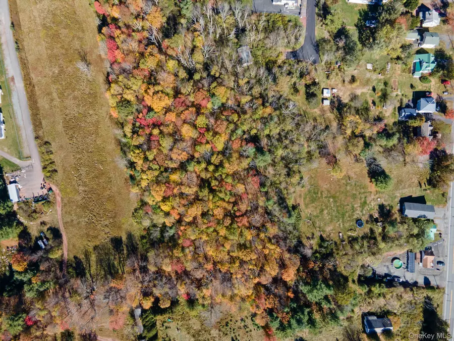 Highland Avenue, Monticello, NY 12701 - Image #3