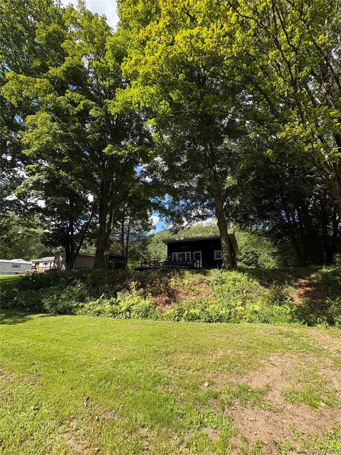 205 Long Flats Road, East Branch, NY 13756 - Image #1
