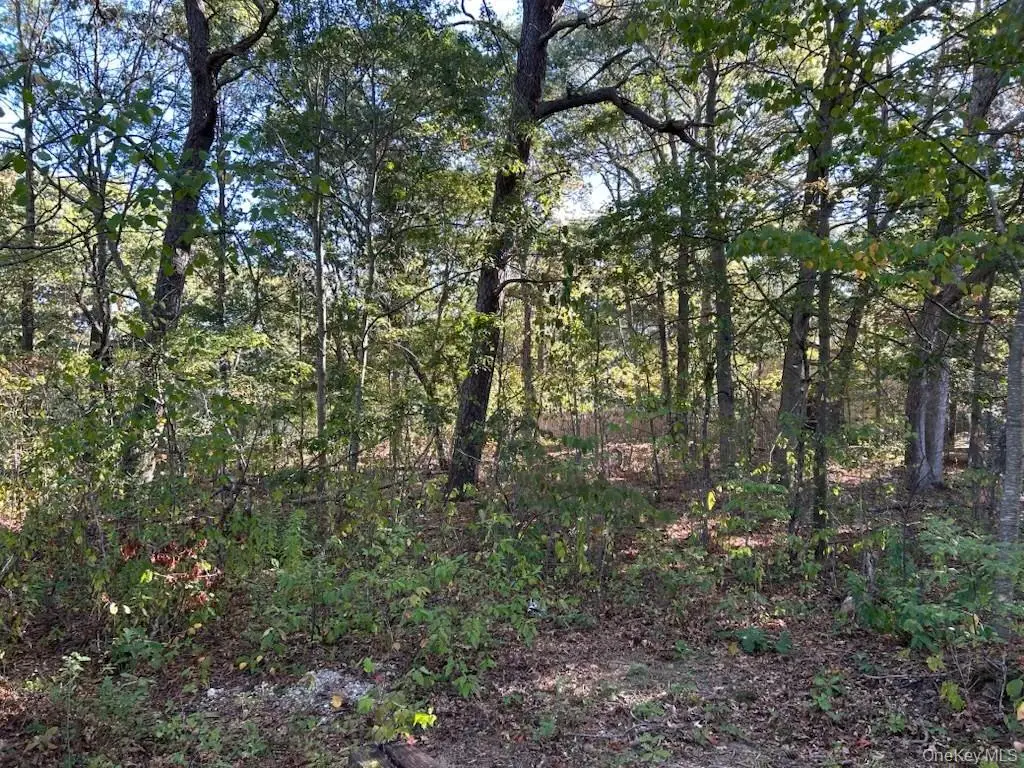 0 Old Medford Avenue, Medford, NY 11763 - Image #1