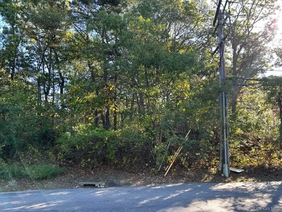 0 Old Medford Avenue, Medford, NY 11763 - Image #2