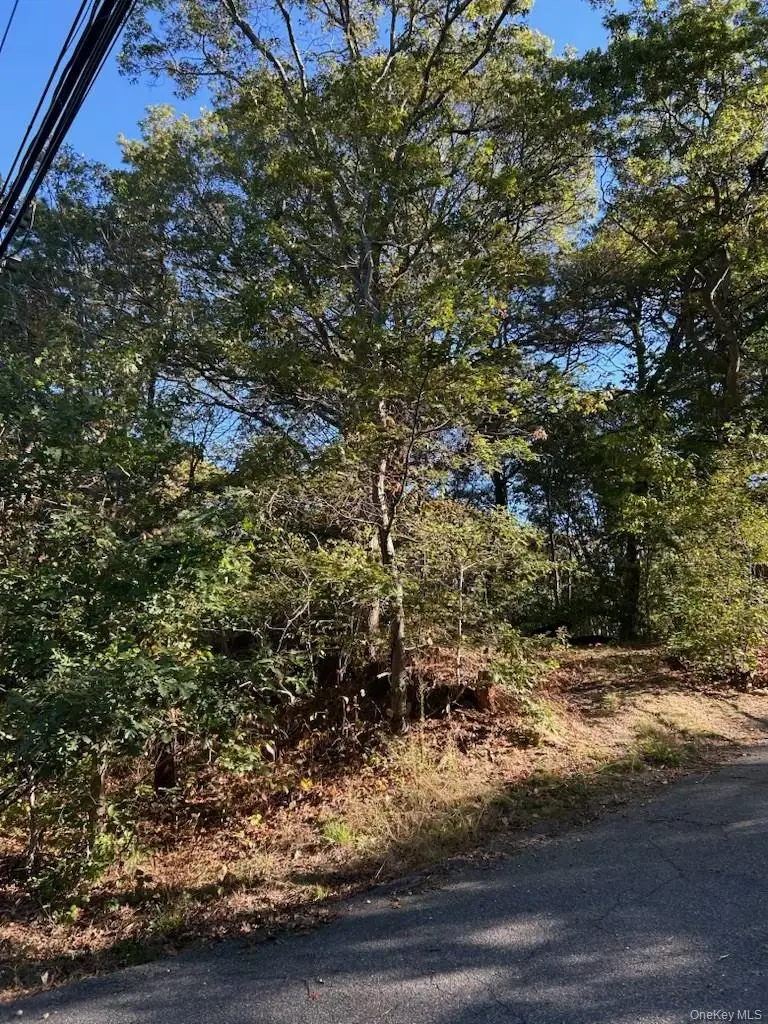 0 Old Medford Avenue, Medford, NY 11763 - Image #3