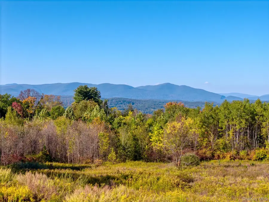 5881-5883 Route 44 55, Kerhonkson, NY 12446 - Image #3