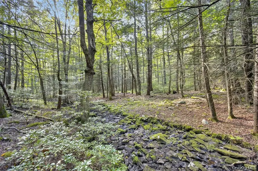 154 Schwabie Turnpike, Kerhonkson, NY 12446 - Image #2