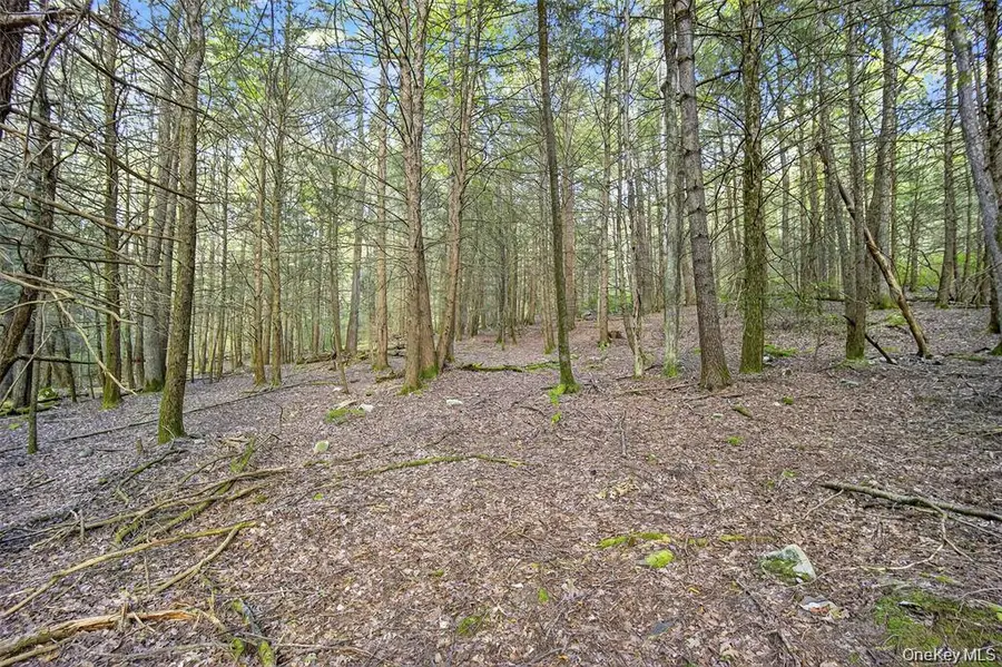 154 Schwabie Turnpike, Kerhonkson, NY 12446 - Image #3