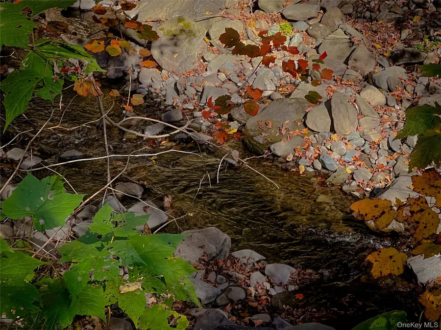 259 Tennanah Lake Road, Roscoe, NY 12776 - Image #3