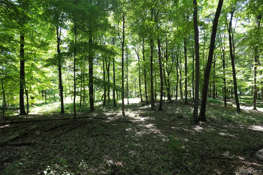 458 Lucas Avenue, Hillside, NY 12487 - Image #3