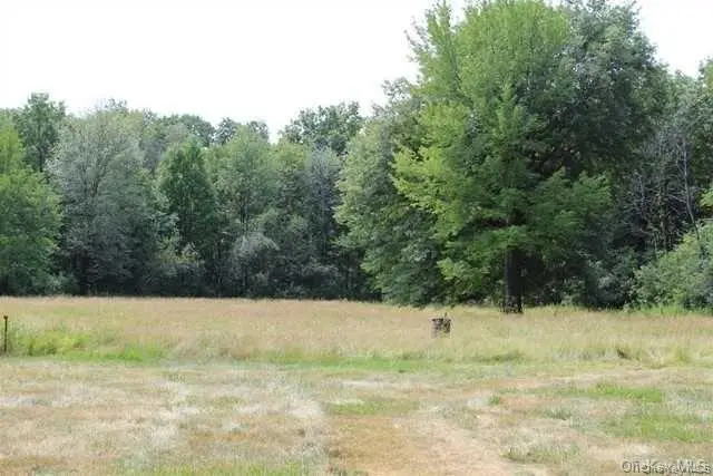 238 Lasher Road, Tivoli, NY 12583 - Image #3