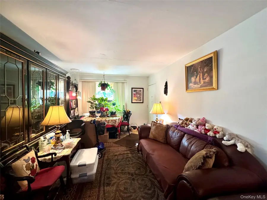 224-20 Manor Road #9-1, Queens Village, NY 11427 - Image #2