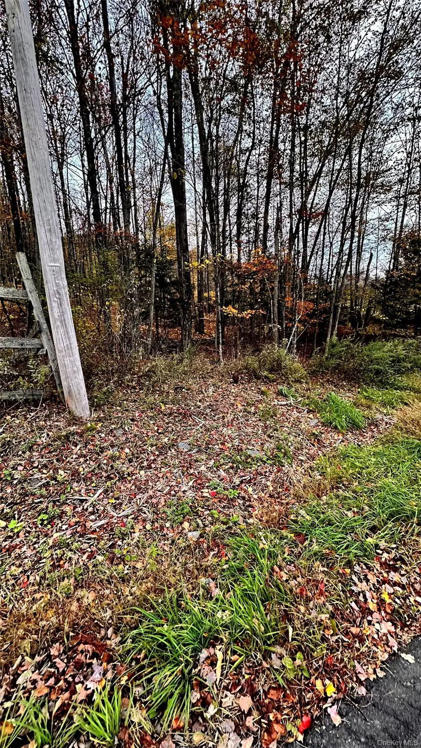 Tbd Hysana Road, Fallsburg, NY 12733 - Image #1