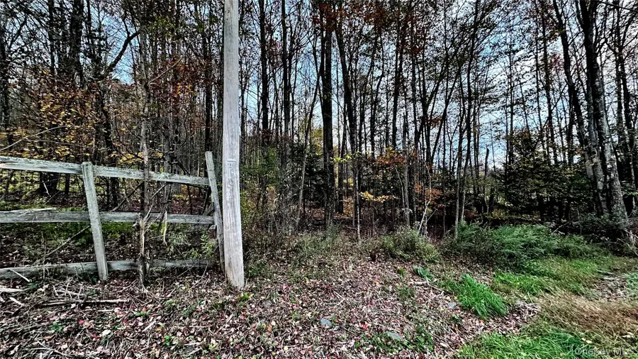 Tbd Hysana Road, Fallsburg, NY 12733 - Image #2