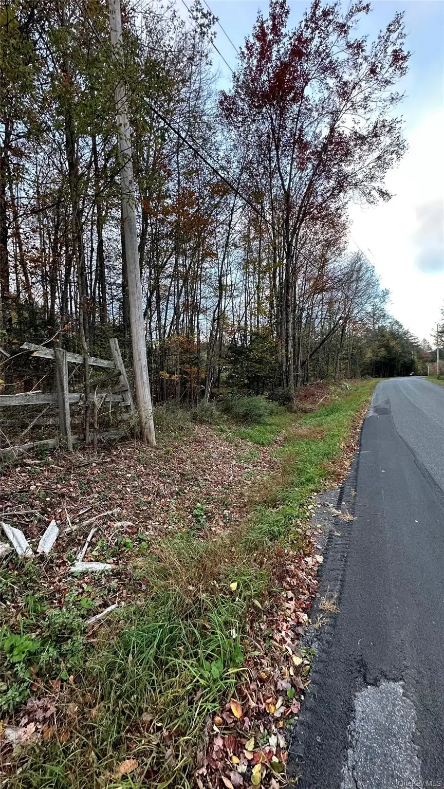 Tbd Hysana Road, Fallsburg, NY 12733 - Image #3