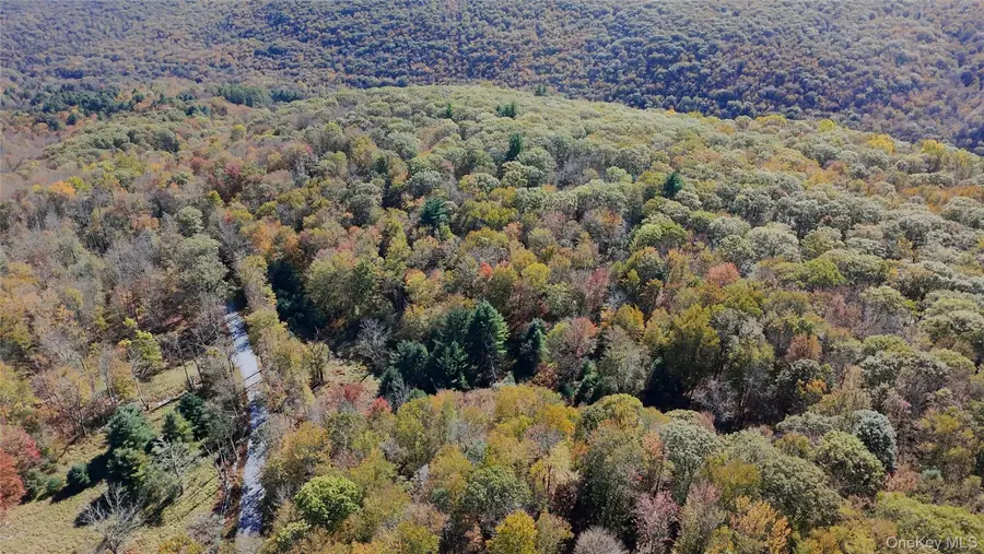 Aldrich Road, Wurtsboro, NY 12790 - Image #2