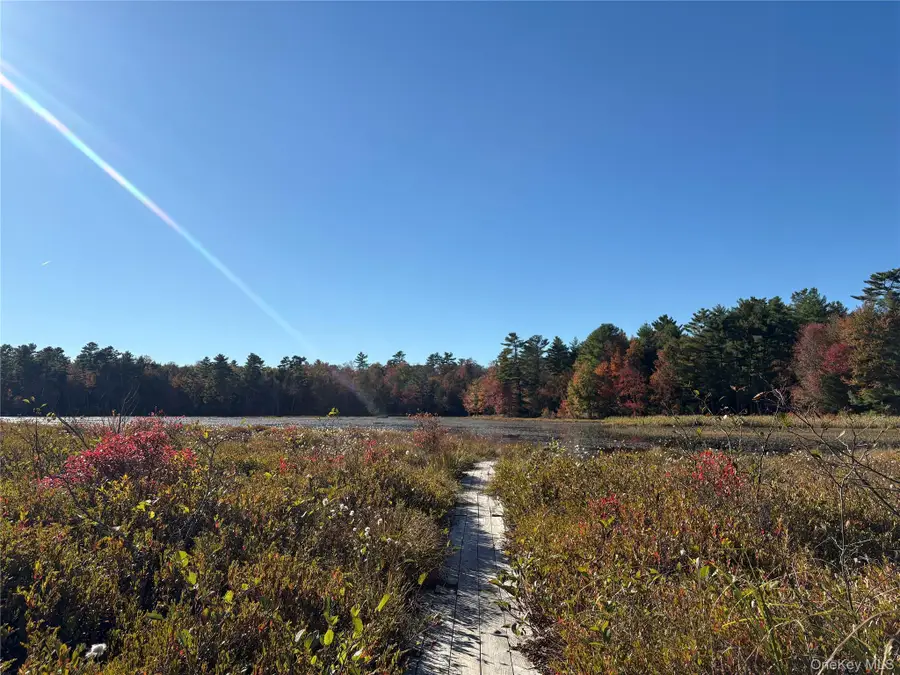 Lot 4 Deer Meadow Road, White Lake, NY 12786 - Image #3