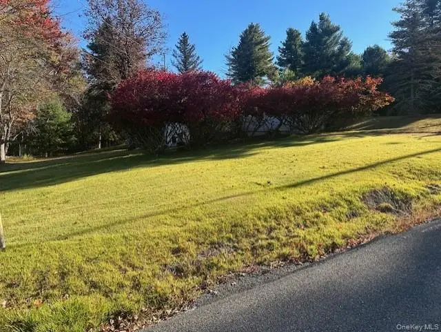 25 Miles And Marguerite, Mountain Dale, NY 12733 - Image #1