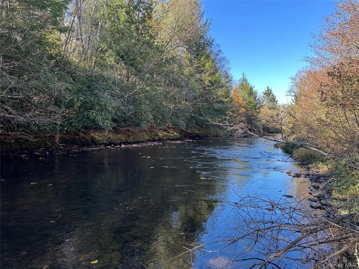 00 Old Route 17, Livingston Manor, NY 12758 - Image #1