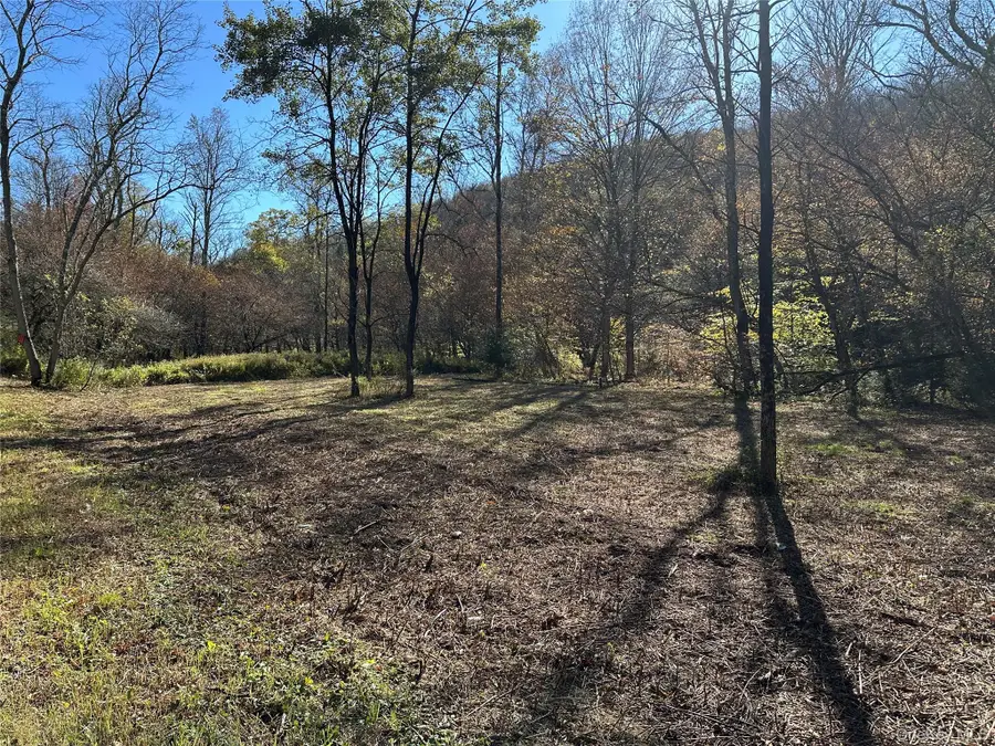 00 Old Route 17, Livingston Manor, NY 12758 - Image #2