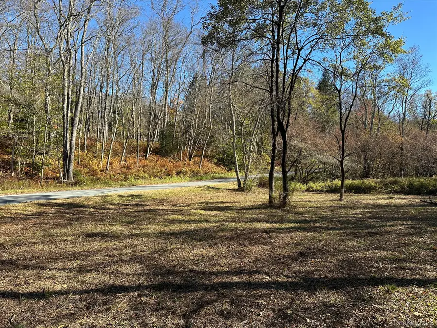 00 Old Route 17, Livingston Manor, NY 12758 - Image #3