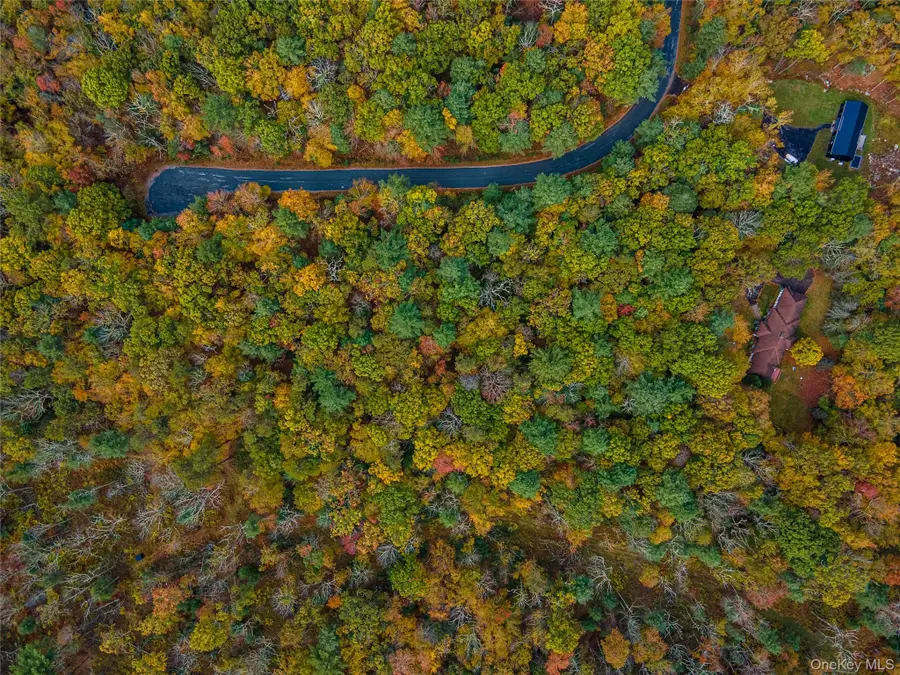 Taras Schevchenko (lot 24) Road, Glen Spey, NY 12737 - Image #3