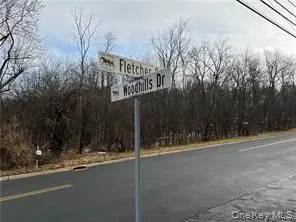 62 Fletcher Street, Goshen, NY 10924 - Image #1