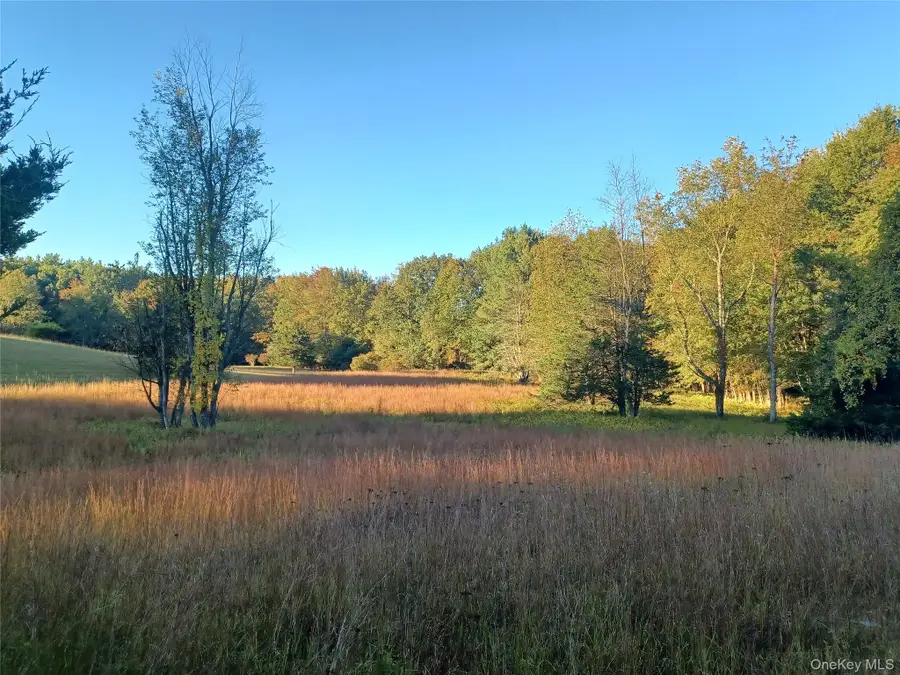 TBD Whitlock Road, Otisville, NY 10963 - Image #2