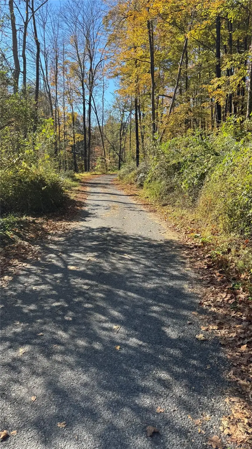 18 Blue Heron Lane #18,20,21,26, Staatsburg, NY 12580 - Image #2