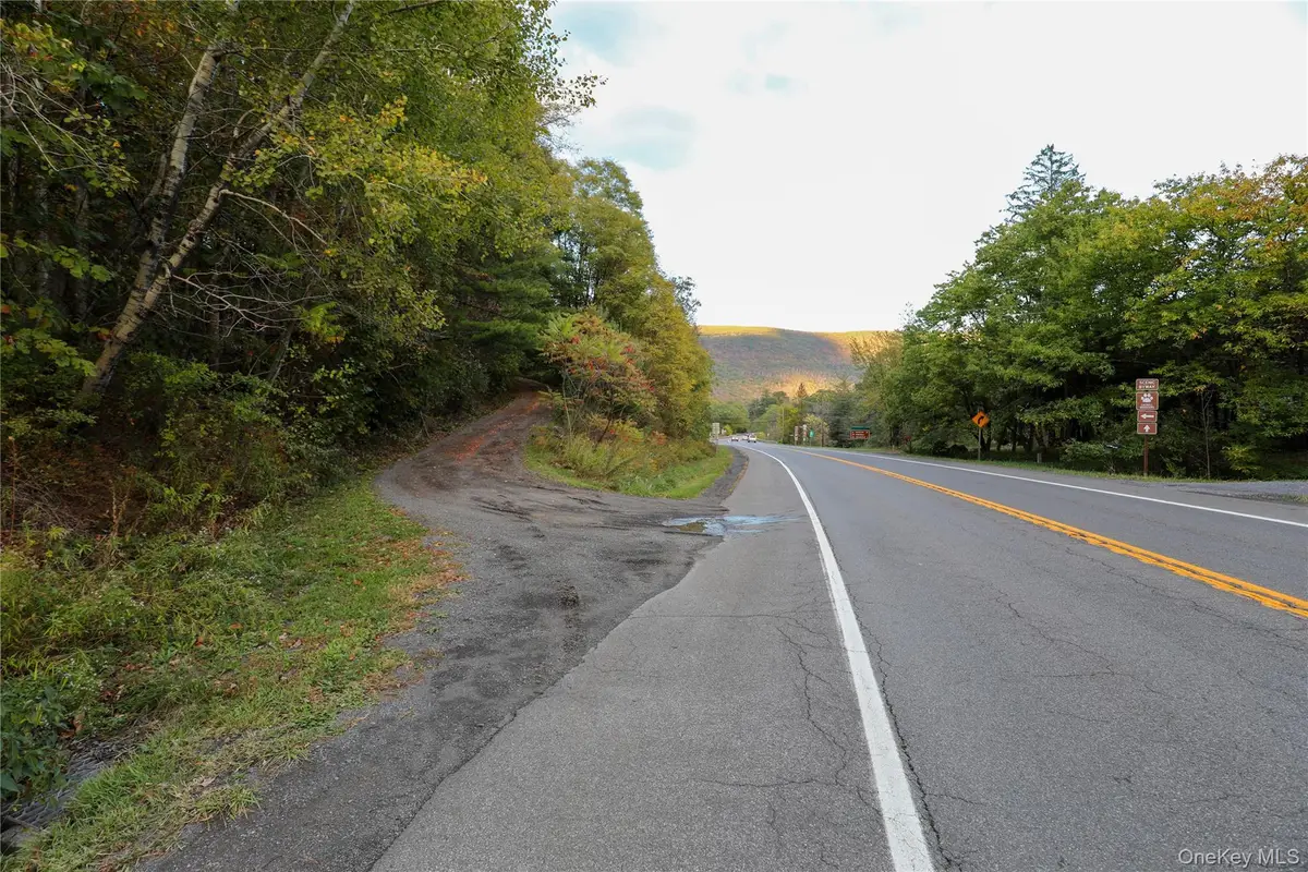 TBD NY-28 Route, Phoenicia, NY  - Image #1