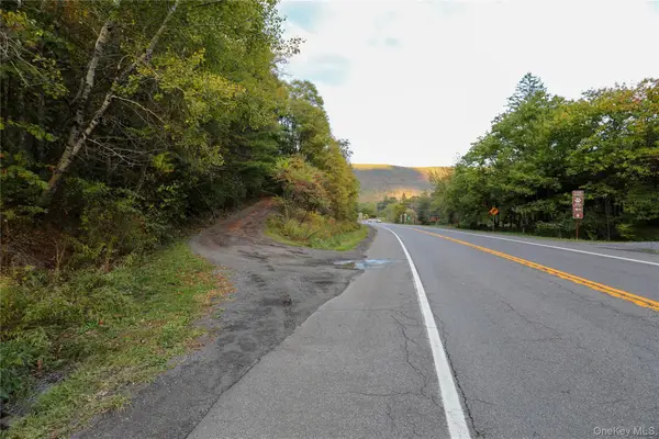 TBD NY-28 Route, Phoenicia, NY 
